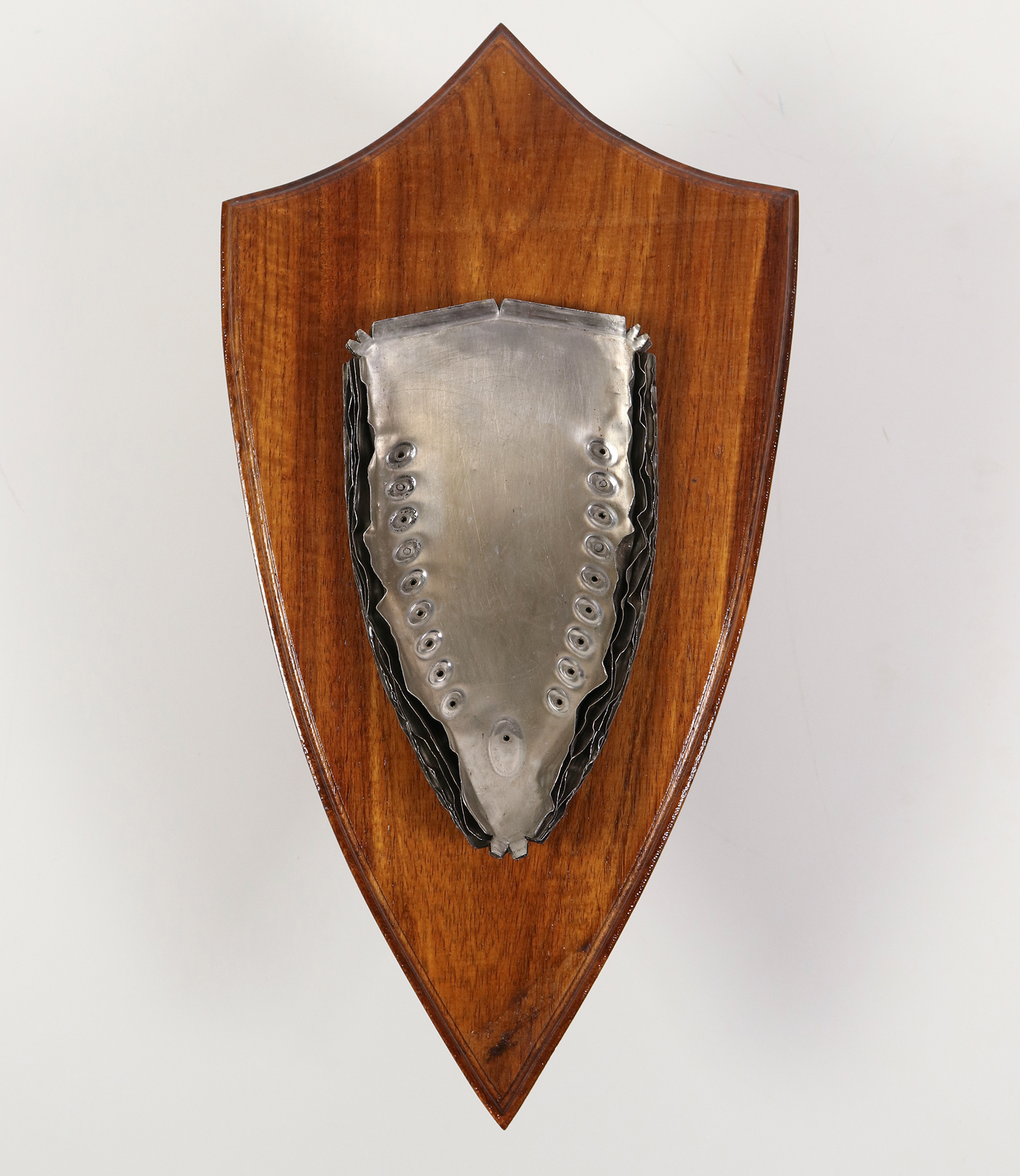 From the series: Trophy Wives