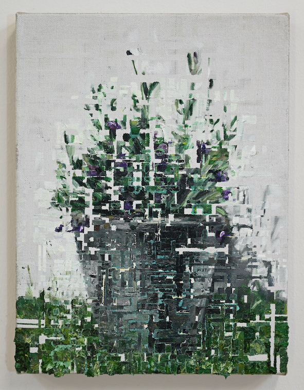 My plants V