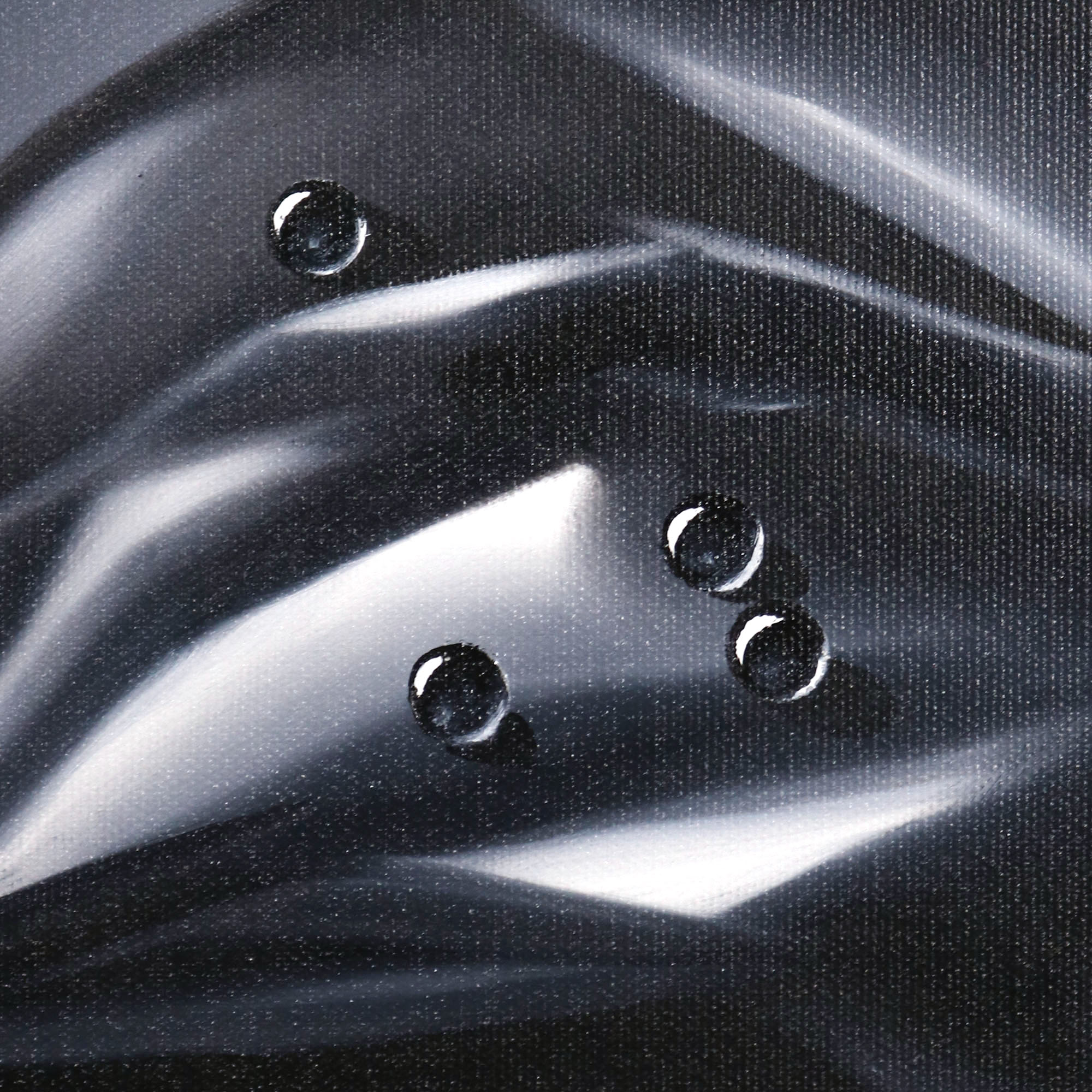 veil