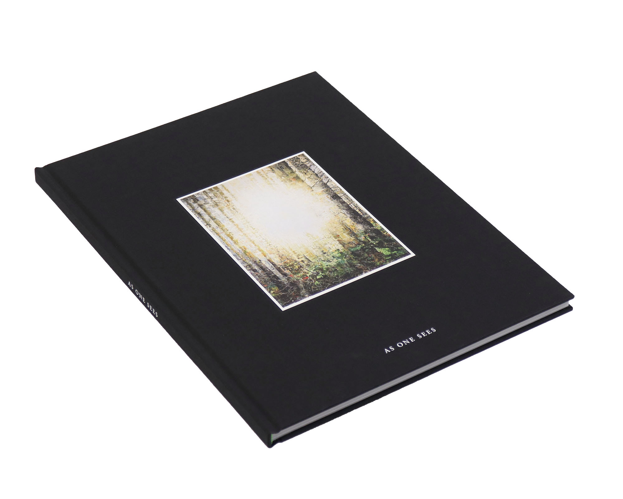 Jeppe Lauge · Galerie KONSTANZE WOLTER e.artis