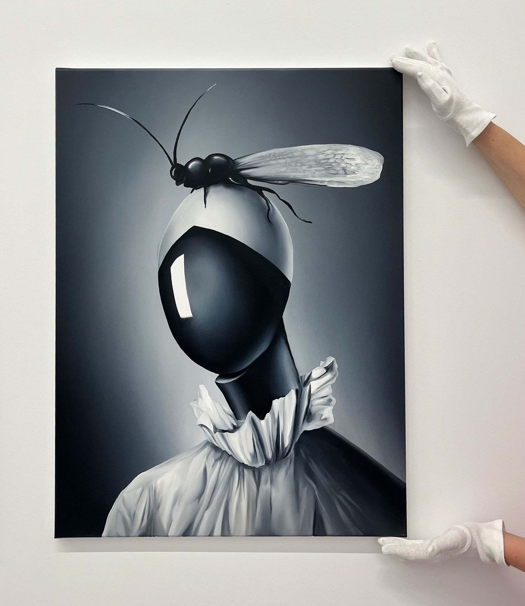 insecta