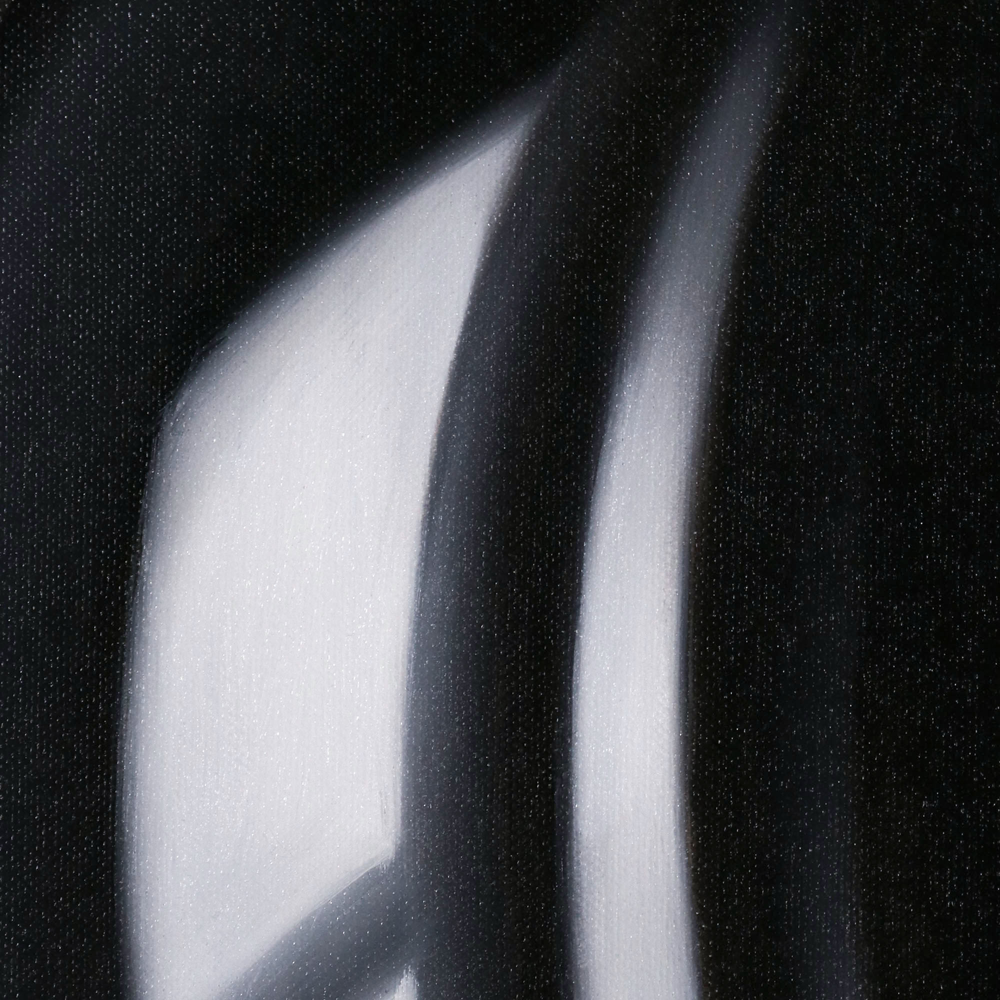 veiled (II)